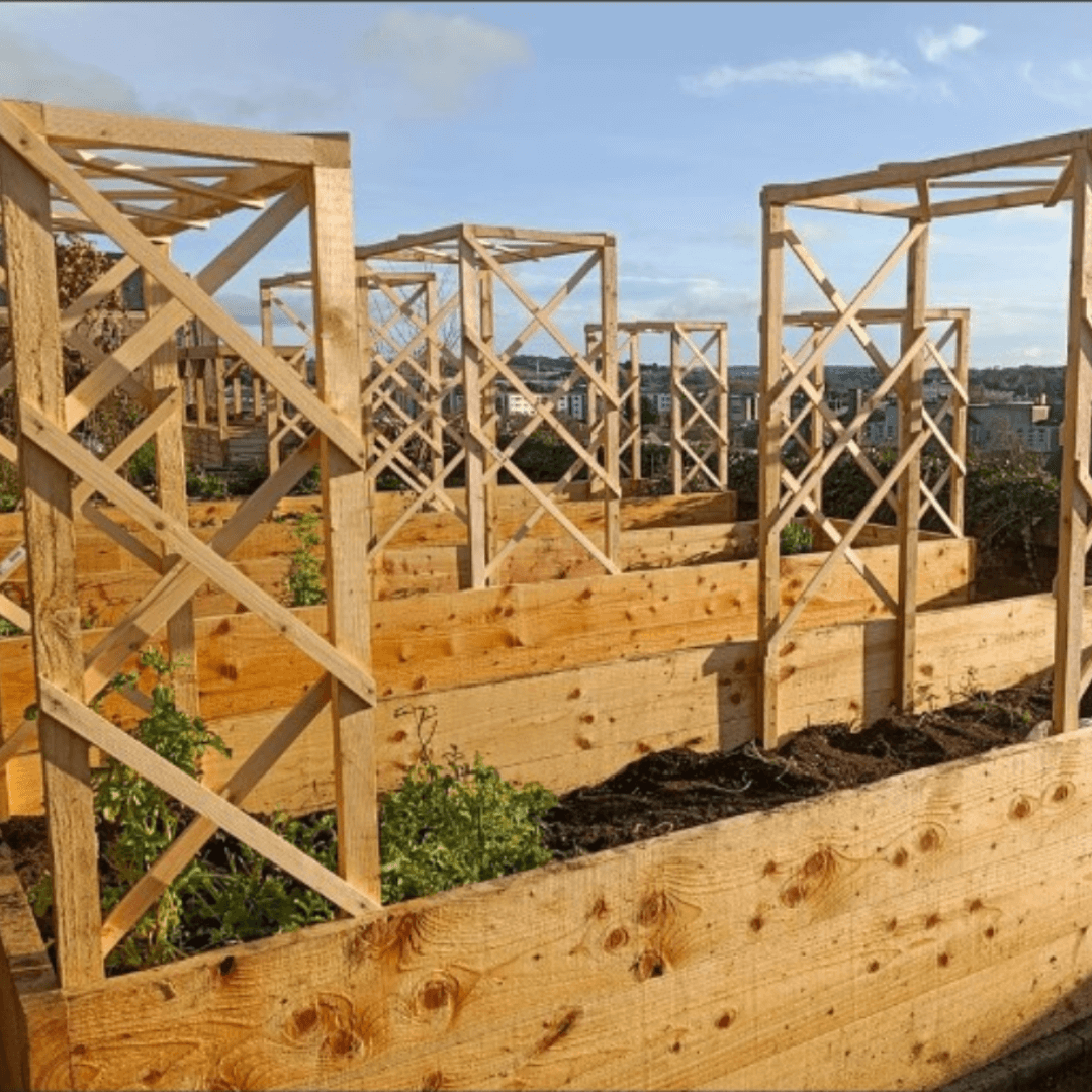 Vegetable beds at Top of the City Garden in Waterford City.