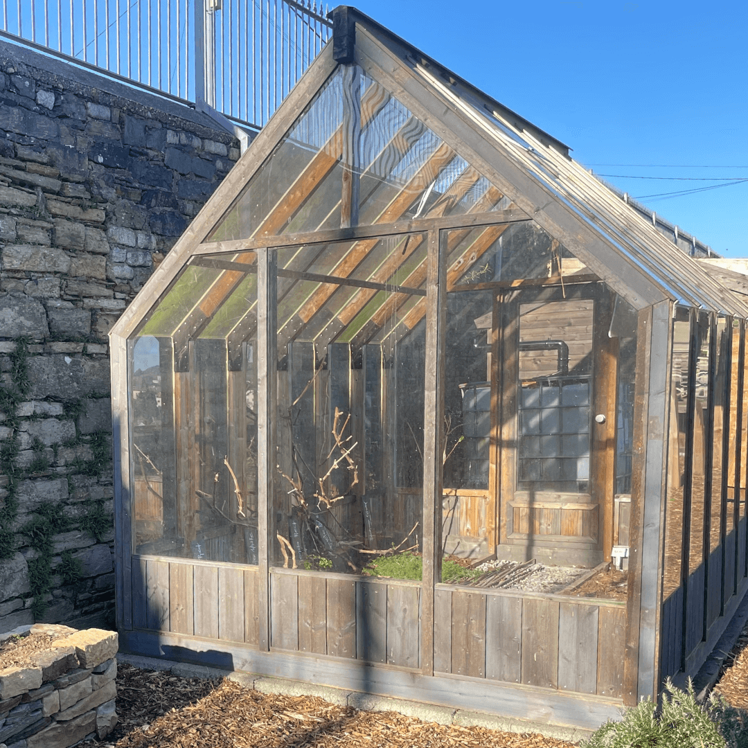 Greenhouse at Top of the City Garden in Waterford City.