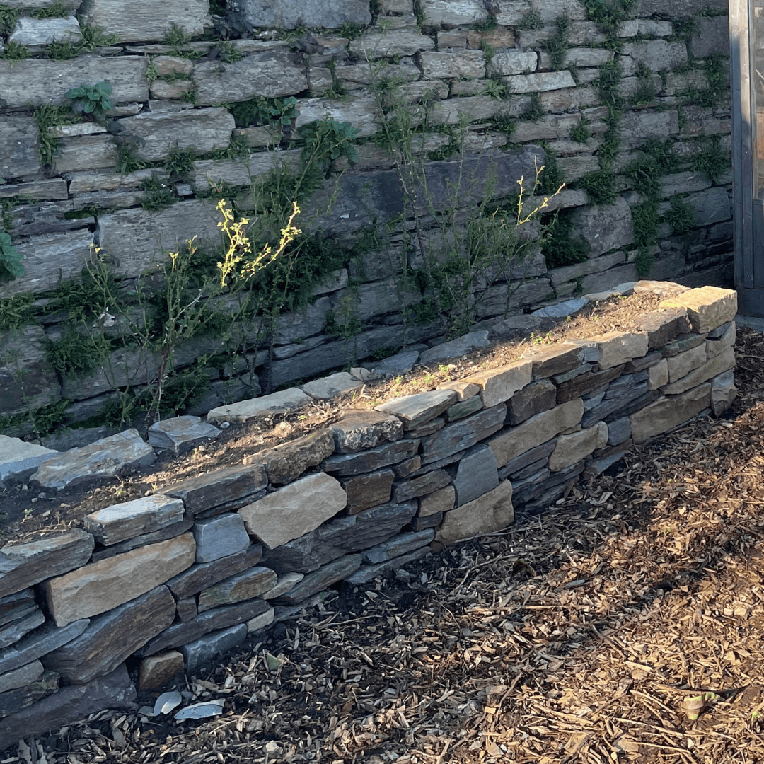 Raised herb bed at Top of the City Garden in Waterford City.